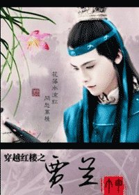 （红楼同人）红楼穿越之贾兰
