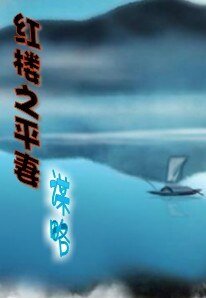《(红楼同人)红楼之平妻谋略》