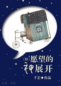 （综同人）[综]愿望的神展开