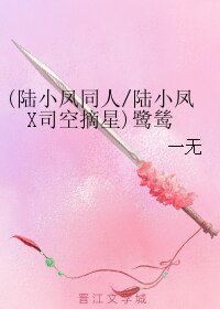 《(陆小凤同人)鹭鸶(重修版)/(陆小凤X司空摘星)鹭鸶》