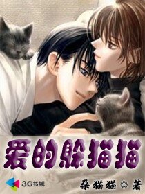 《爱的躲猫猫》