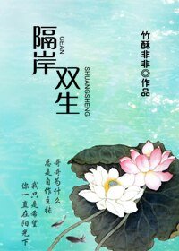 《隔岸双生》