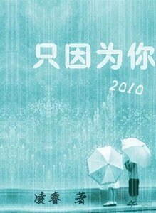 只因为你「2010」（又名：只因为你「结」）