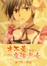 （综同人）才不是魔法少女