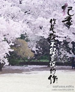 《纪季,你是我不能言说的伤》