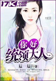 《你好统领大人》