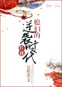 (BG/红楼同人）红楼之媳妇的逆袭时代