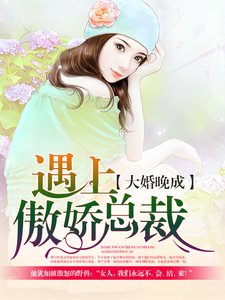 《大婚晚成:遇上傲娇总裁》