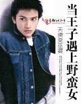 《当王子遇到野蛮女》