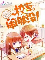 《继承者驾到:校草,闹够没!》