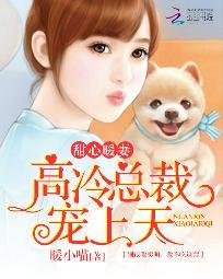 甜心暖妻：高冷总裁宠上天