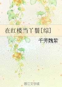 （BG/红楼同人）在红楼当丫鬟[综]