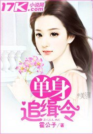 《单身追缉令》