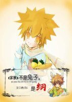 （BL/家教同人）不是兔子,是纲