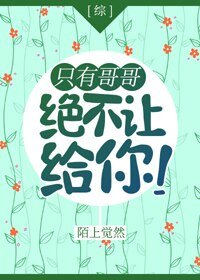 （BG/综漫同人）[综]只有哥哥绝不让给你！